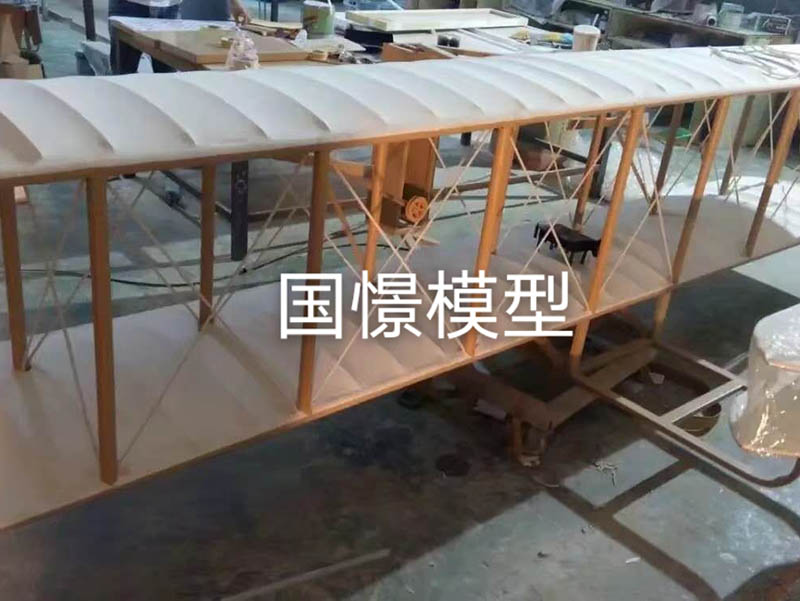 清水县飞机模型